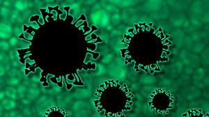 Negli oceani sono stati scoperti migliaia di nuovi virus Negli oceani sono stati scoperti migliaia di nuovi virus