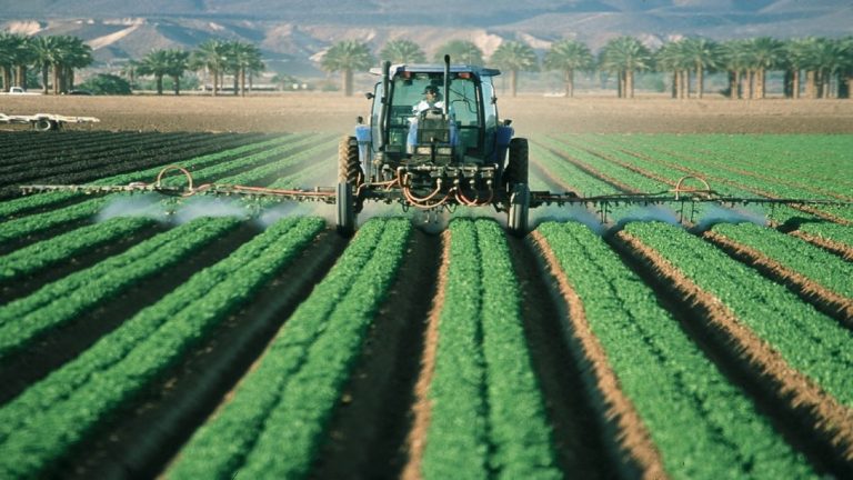 Agricoltura, Sivilcoltura: in arrivo 1,2 miliardi di aiuti Ue