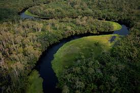 Il Congo autorizza le trivellazioni nella foresta pluviale