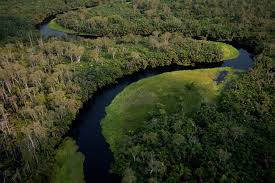 Il Congo autorizza le trivellazioni nella foresta pluviale Il Congo autorizza le trivellazioni nella foresta pluviale