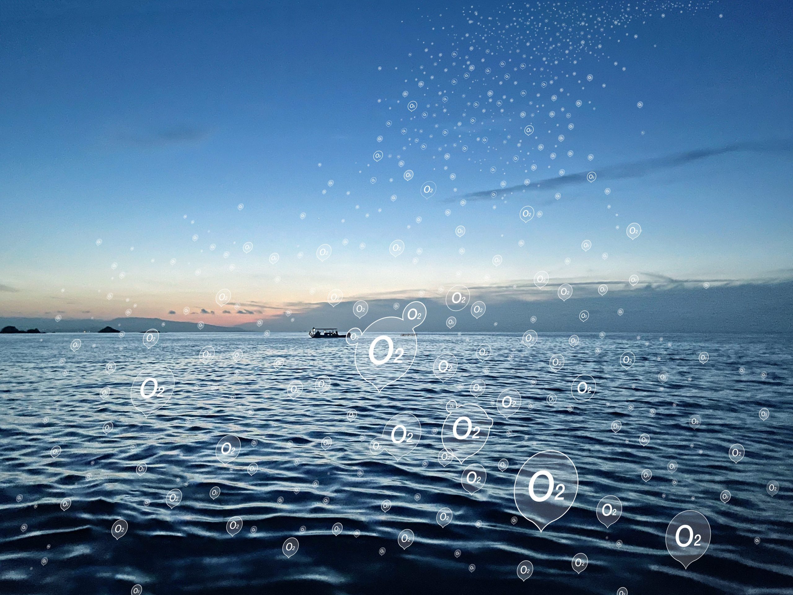 I veri polmoni della Terra sono antichissimi e si trovano nell’oceano I veri polmoni della Terra sono antichissimi e si trovano nell’oceano