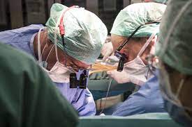 È stato eseguito il primo trapianto di fegato rigenerato fuori dal corpo umano