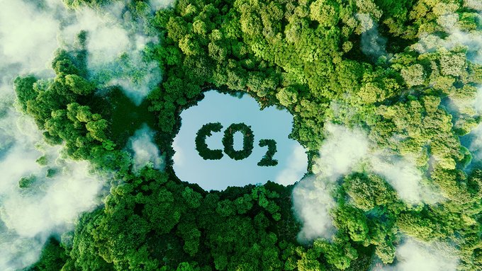 Crediti di carbonio: cosa sono e come si calcolano