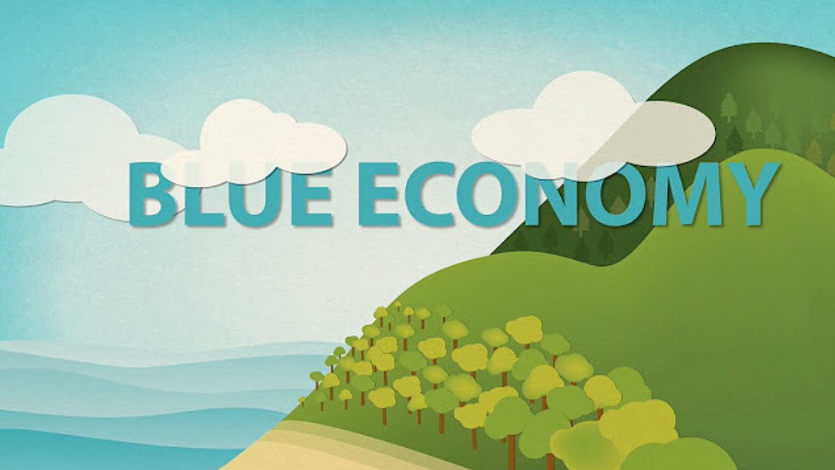 Blue economy, nel 2021 +9,3% ma lontana dai livelli pre-Covid: 225mila imprese producono 56 miliardi