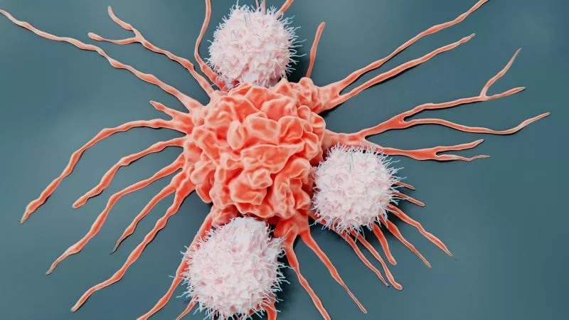 Una nuova terapia cellulare colpisce il tumore su due fronti