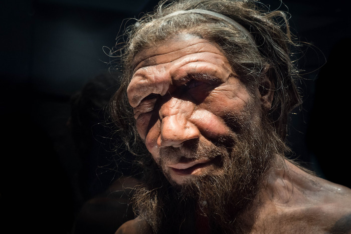 Il cervello dei Neanderthal aveva meno neuroni del nostro