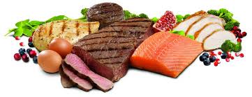 Hight proteins foods are useful?