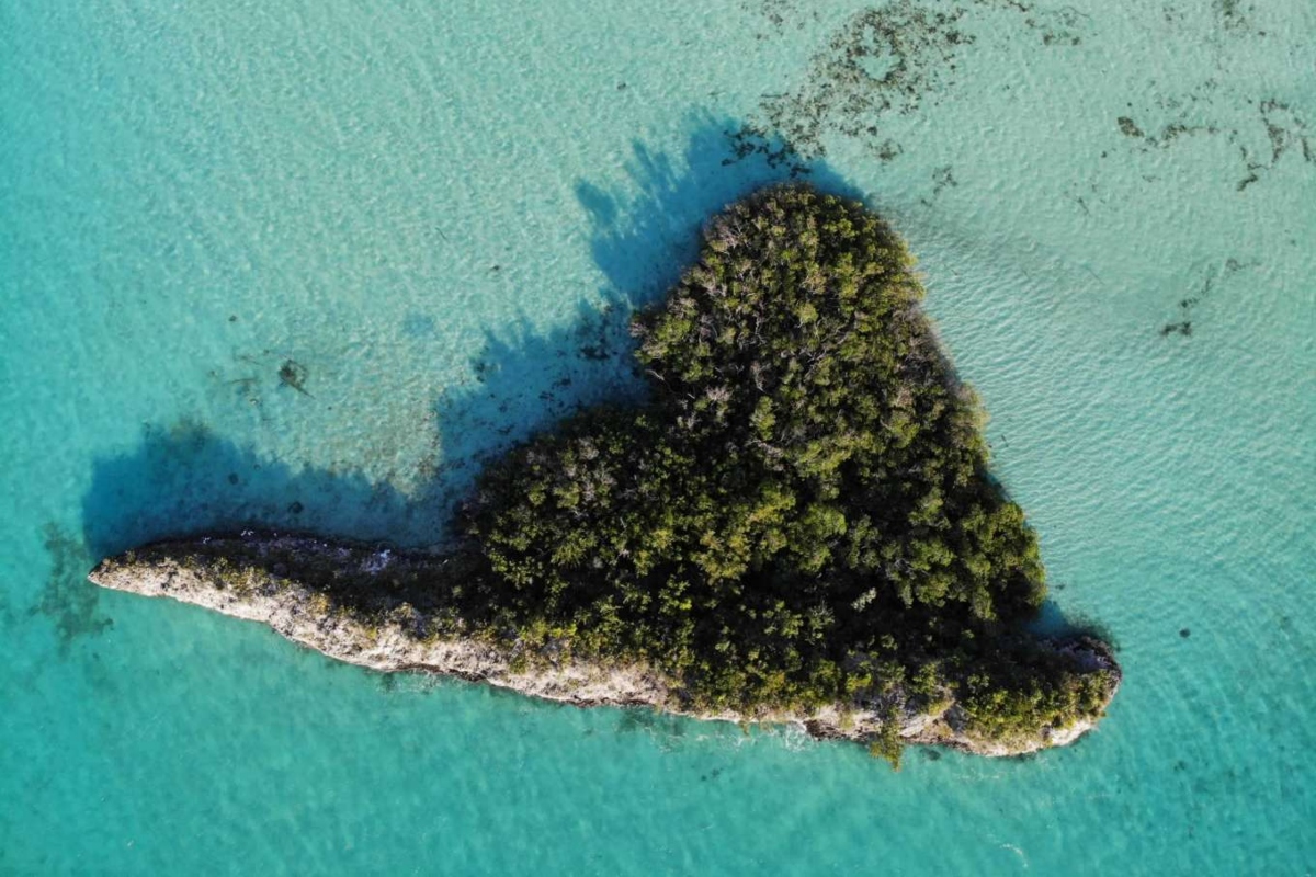 Quest’ isola delle Bahamas è in vendita come un quadrilocale in città