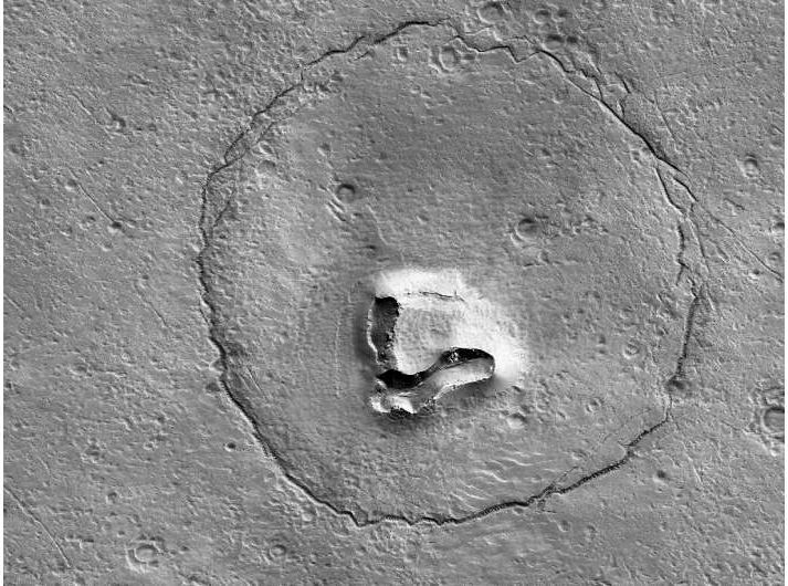 C’è un orso su Marte e non riusciamo a capire com’è possibile