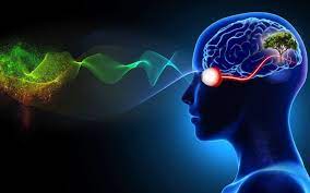The brain science collaboration that offers hope to blind people The brain science collaboration that offers hope to blind people