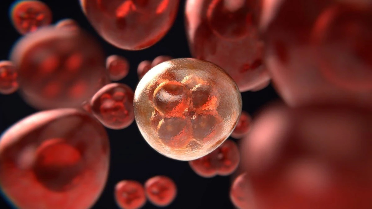 Scienziati italiani scoprono molecola che blocca le cellule tumorali: speranze per nuovi farmaci