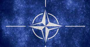 VITTORIA NATO A VILNIUS: CUI PRODEST?