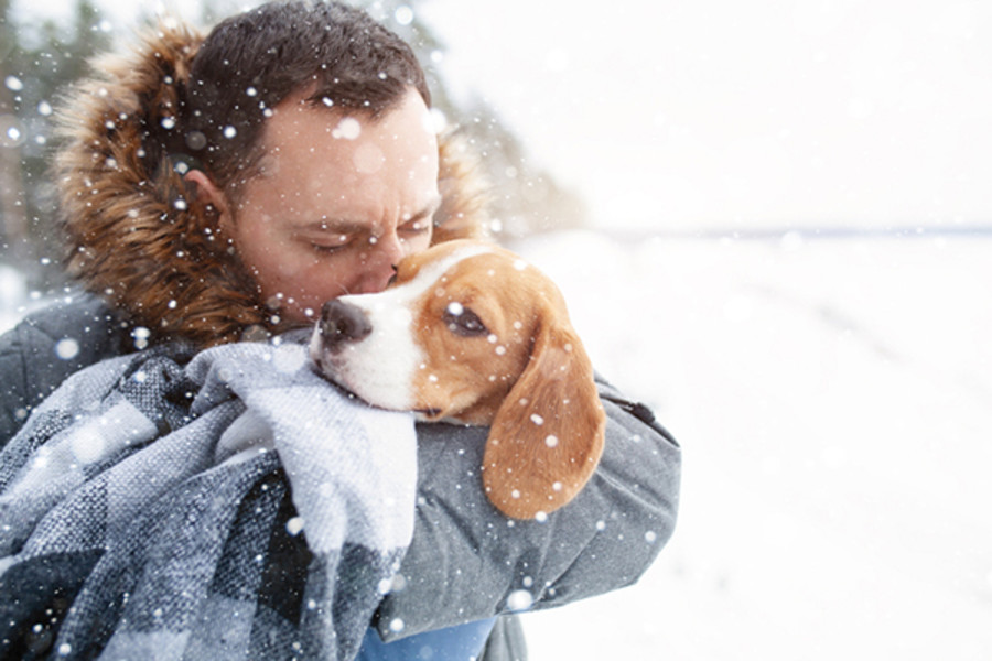 Ha lasciato il mio cane di notte al gelo sotto la neve’; a processo titolare di pensione per animali