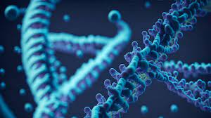 Il cromosoma Y è stato sequenziato al 100%: ora la mappa del genoma umano è completa