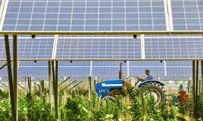 Agricoltura e fotovoltaico, il futuro energetico in Italia